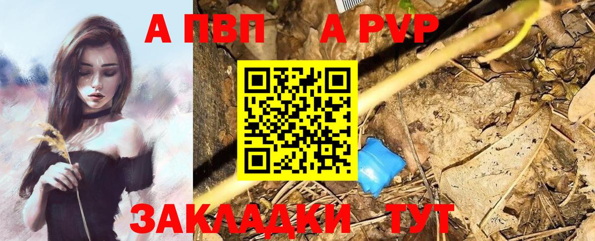 A PVP СК Шадринск
